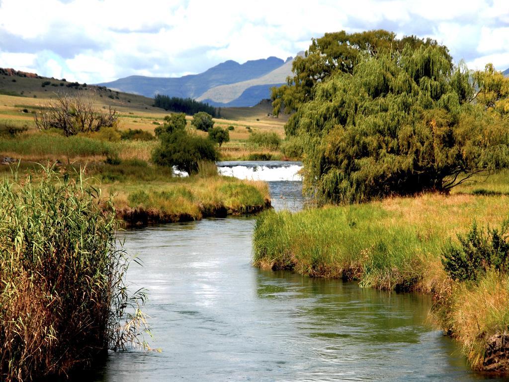Rosewood Corner, Clarens Bed and Breakfast Buitenkant foto