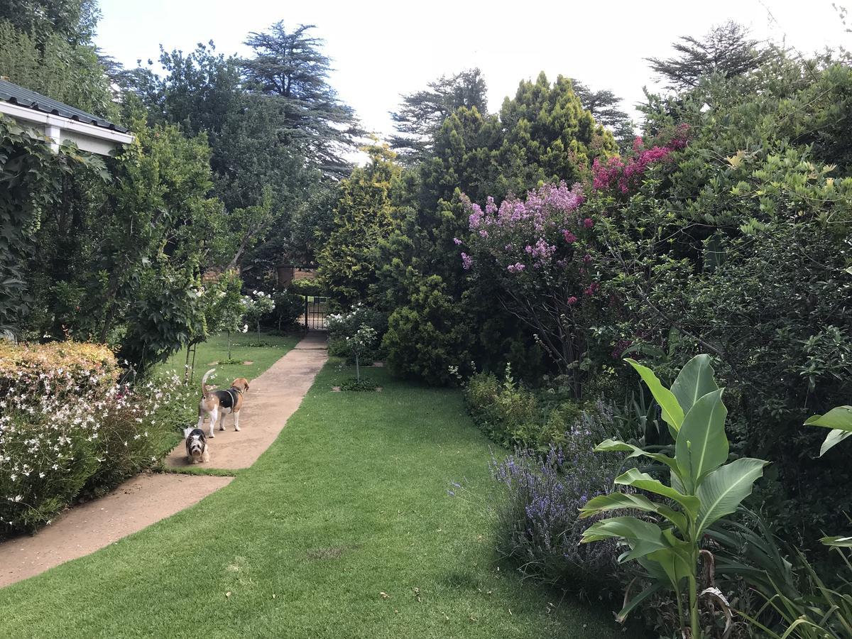 Rosewood Corner, Clarens Bed and Breakfast Buitenkant foto