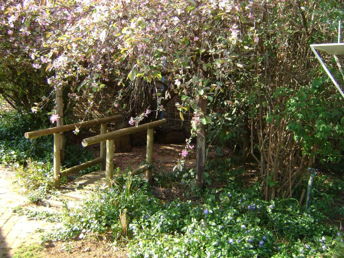 Rosewood Corner, Clarens Bed and Breakfast Buitenkant foto