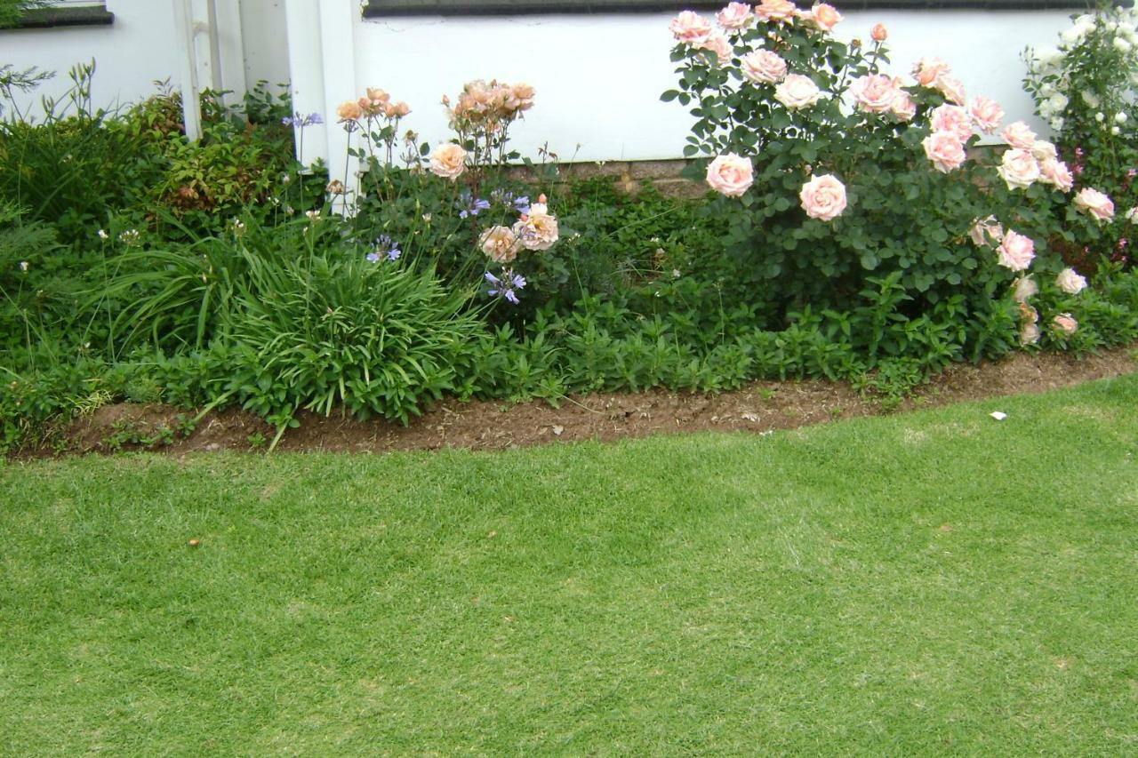 Rosewood Corner, Clarens Bed and Breakfast Buitenkant foto